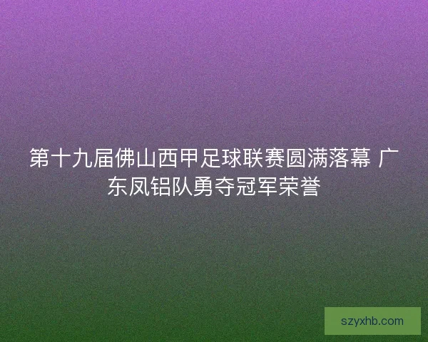 第十九届佛山西甲足球联赛圆满落幕 广东凤铝队勇夺冠军荣誉